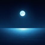 Inspiring the World, One Project at a Time for the man